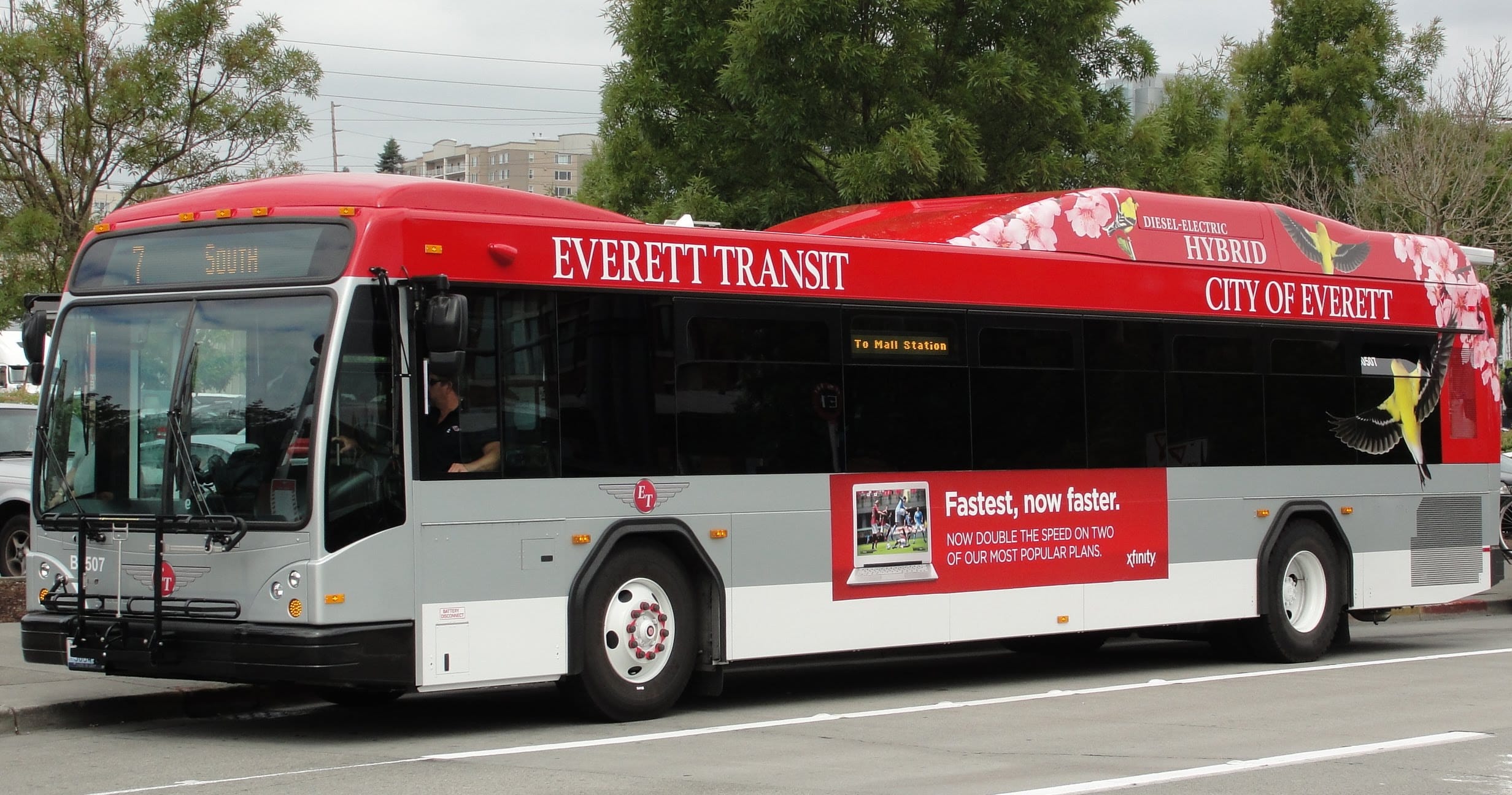 Everett transit