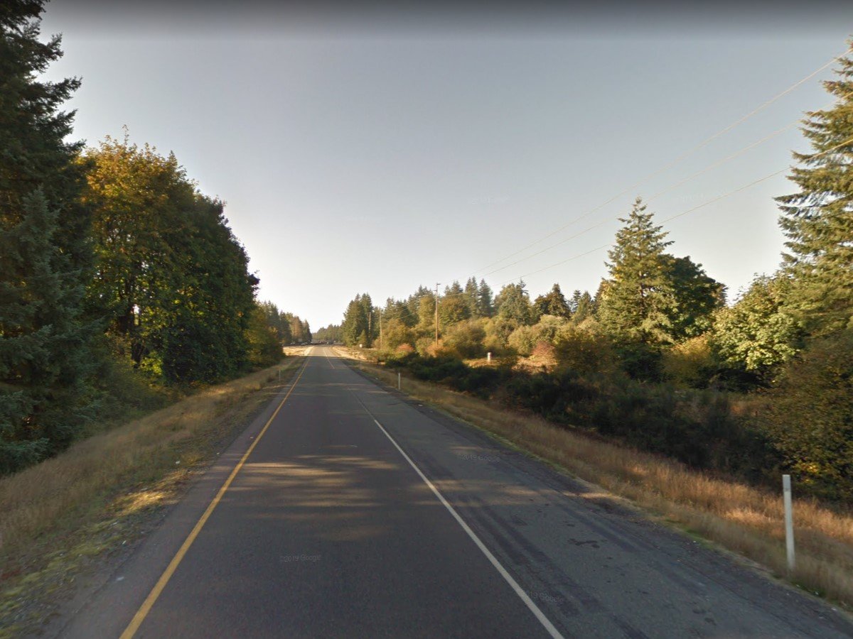 News: Driver dies after car hits tree off I-5 near SW Olympia